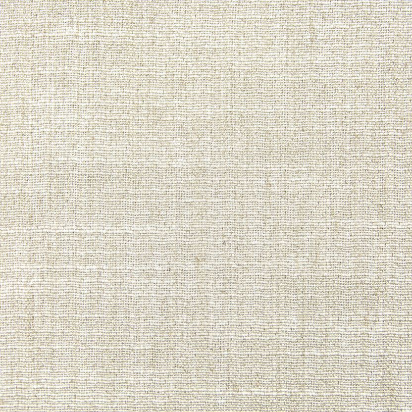 Bamboo | Charlotte