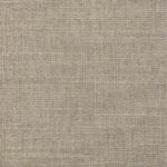 Khaki | Charlotte