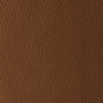 Camel | Delta