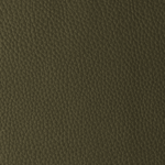 Forest | Delta