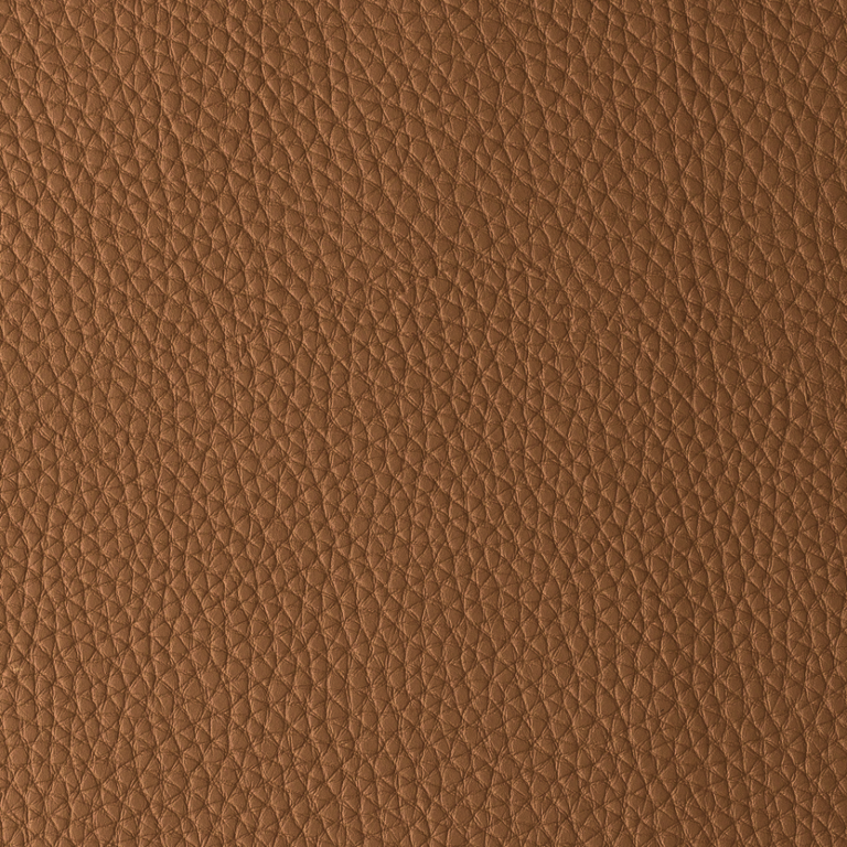 Terra
