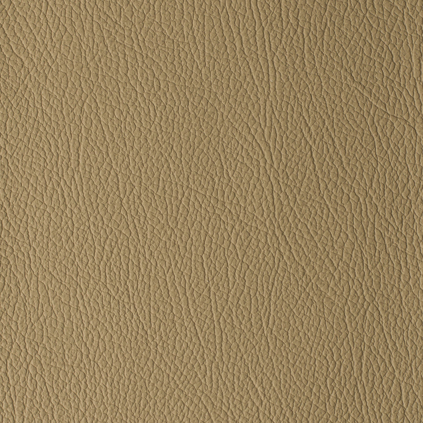 Khaki | Daytona