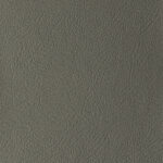 Plaster | Daytona