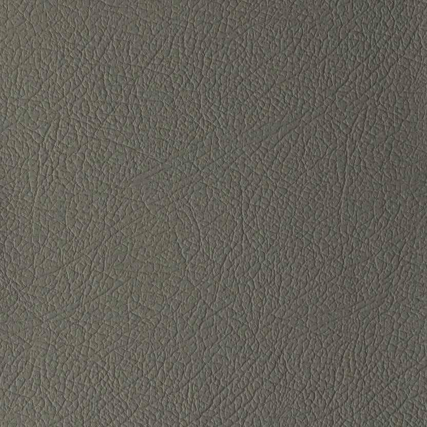 Plaster | Daytona