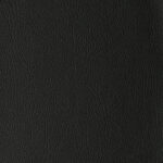 Black | Daytona