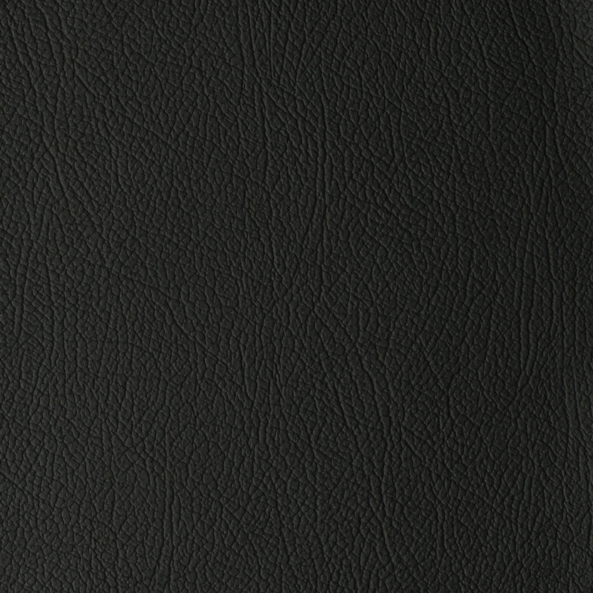 Black | Daytona