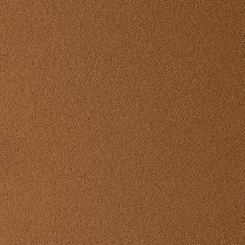 Camel | Silverstone