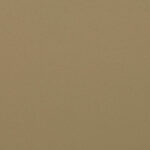 Beige | Falcon
