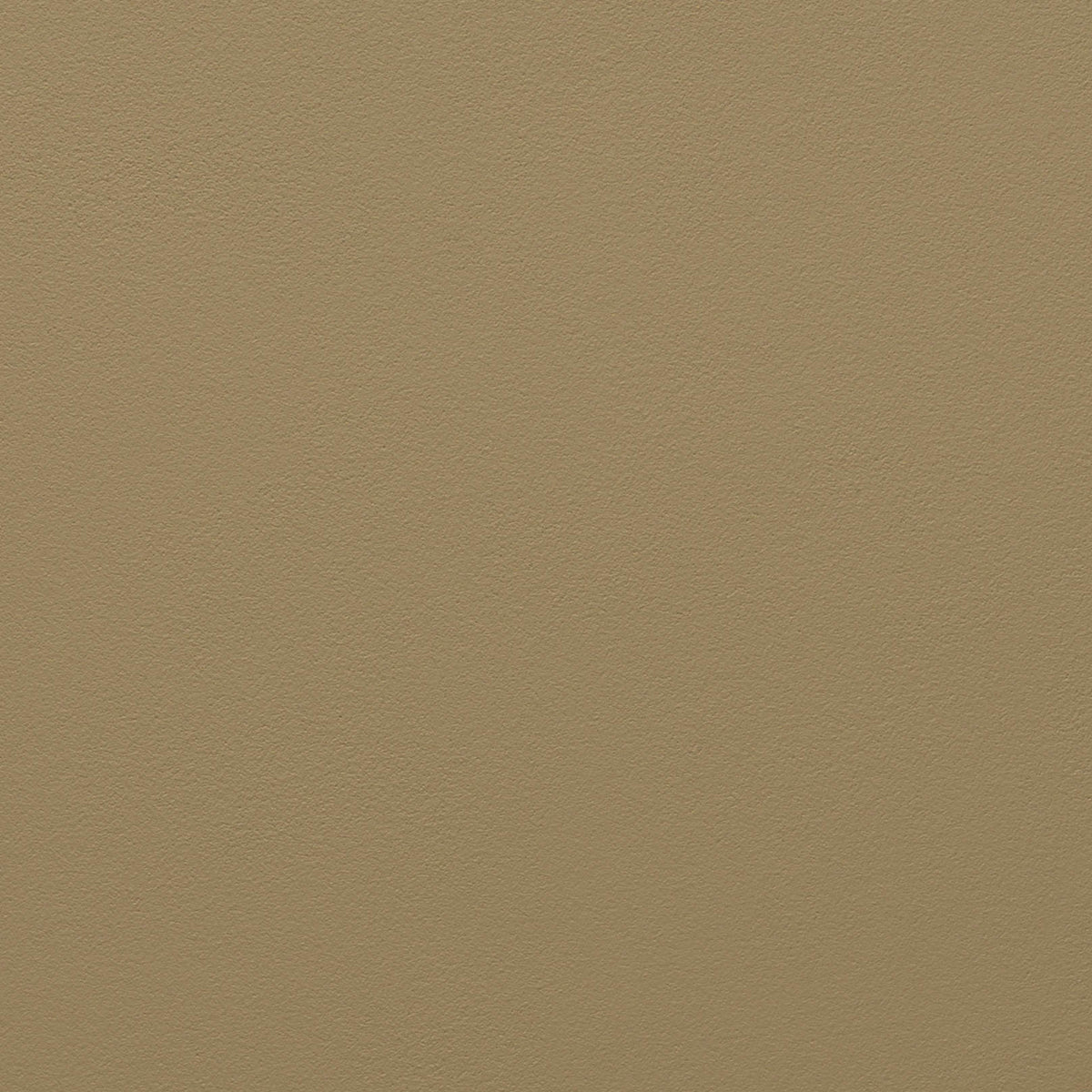 Beige | Falcon