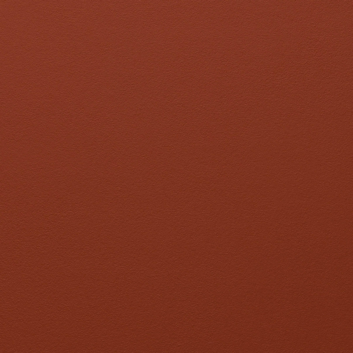 Terracotta | Falcon