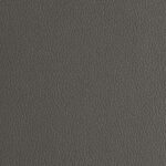Anthracite | Florida