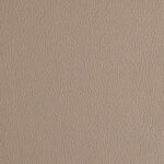 Taupe | Florida