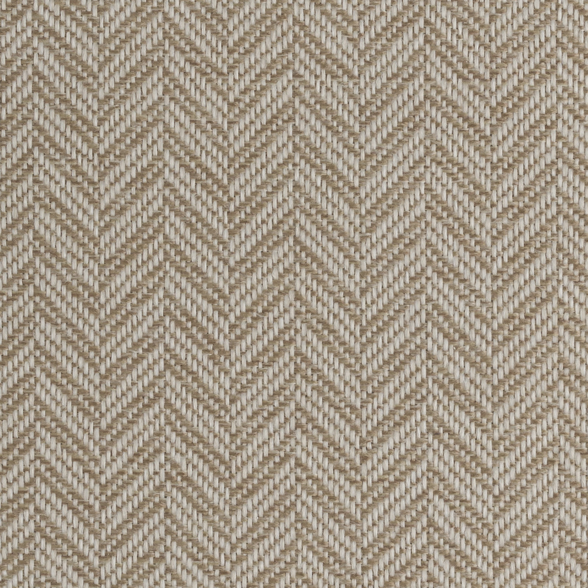 Beige | Glasgow
