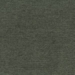 Forest | Guilty