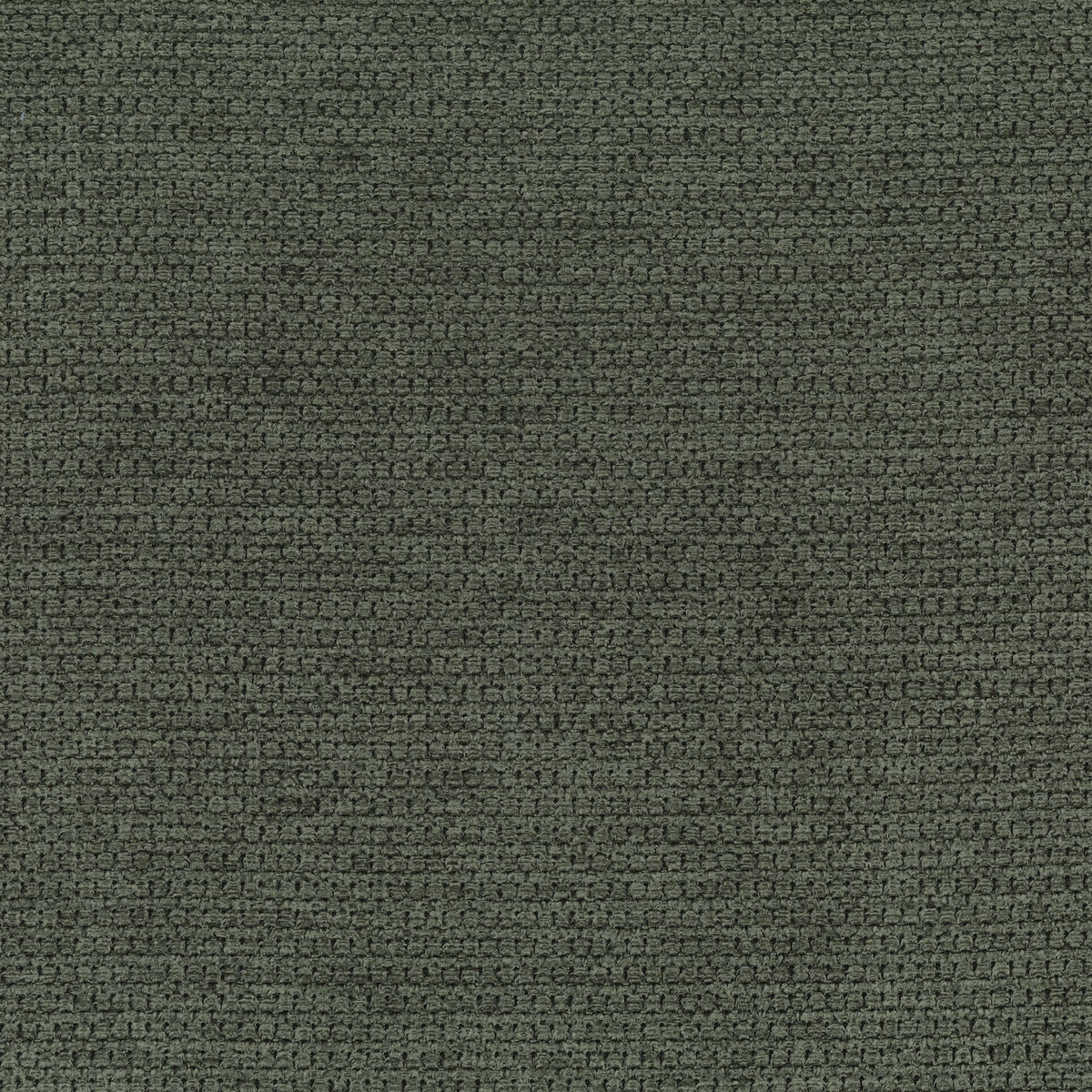 Forest | Guilty