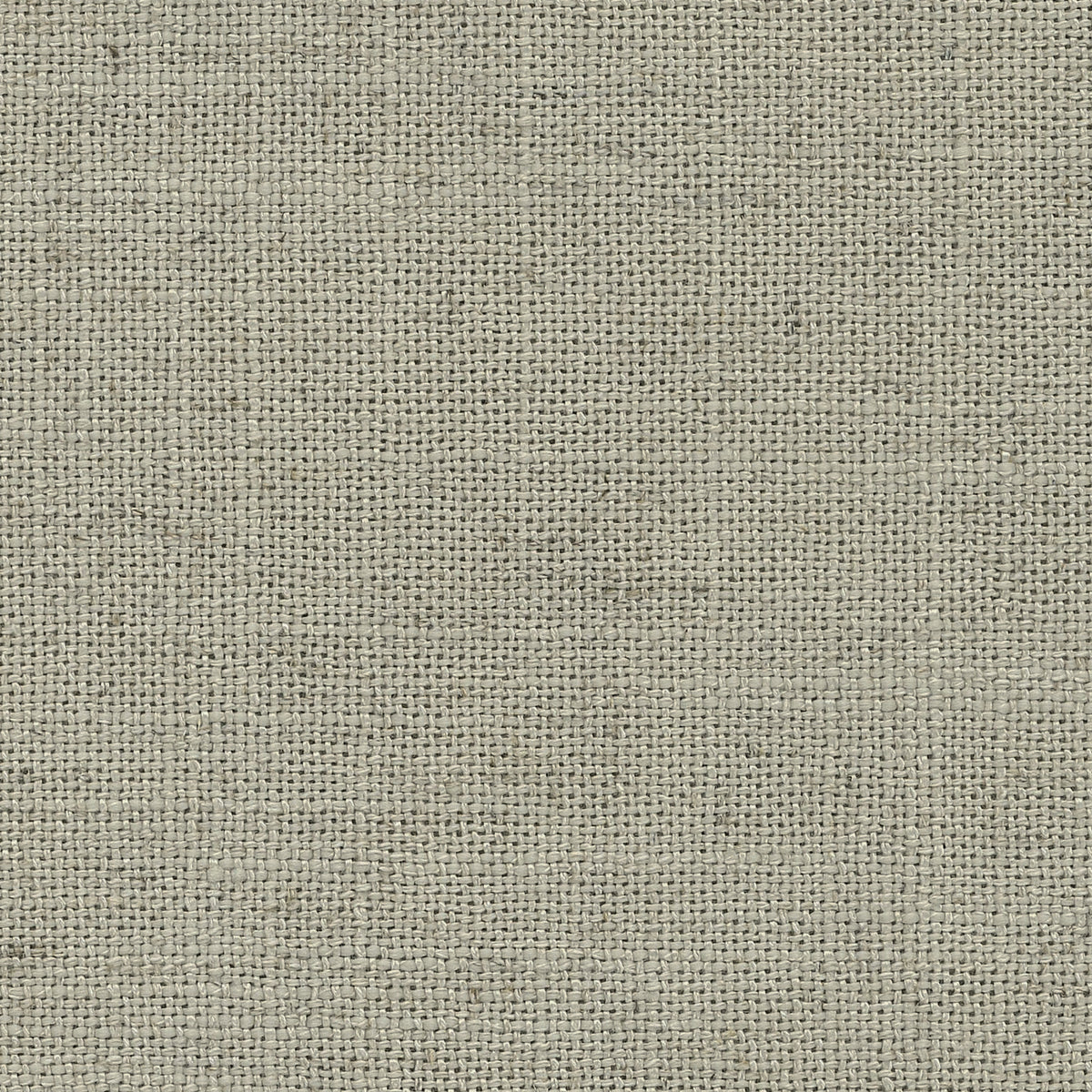 Bamboo | Grace