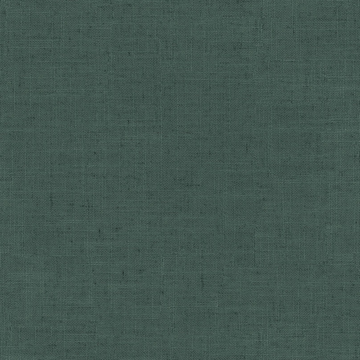 Forest | Grace