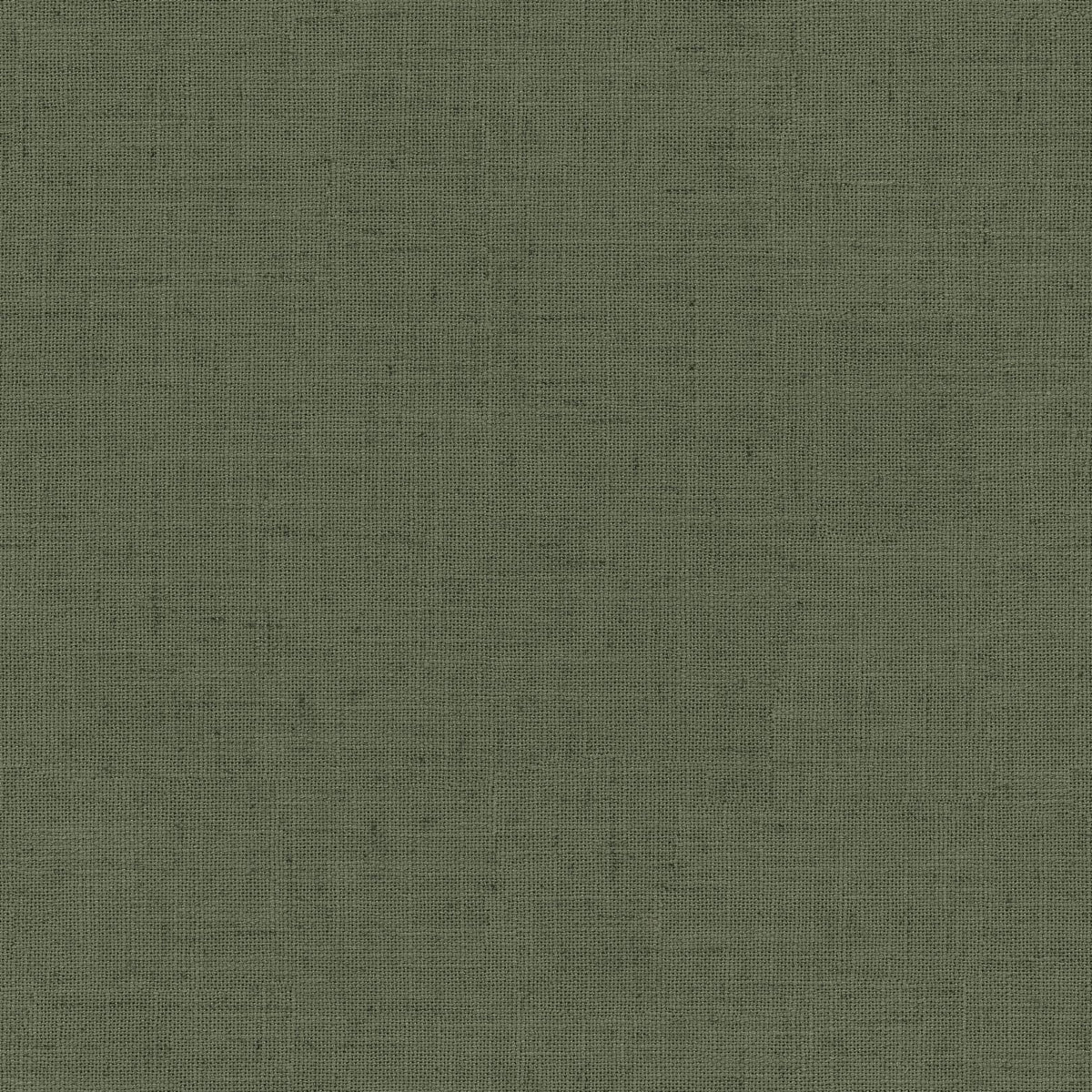 Moss | Grace