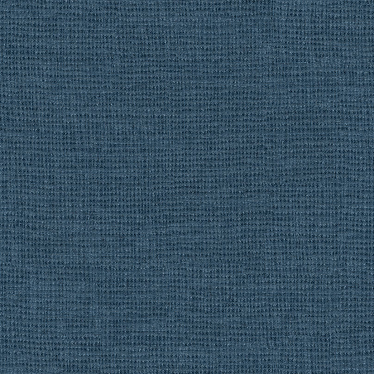 Ocean | Grace