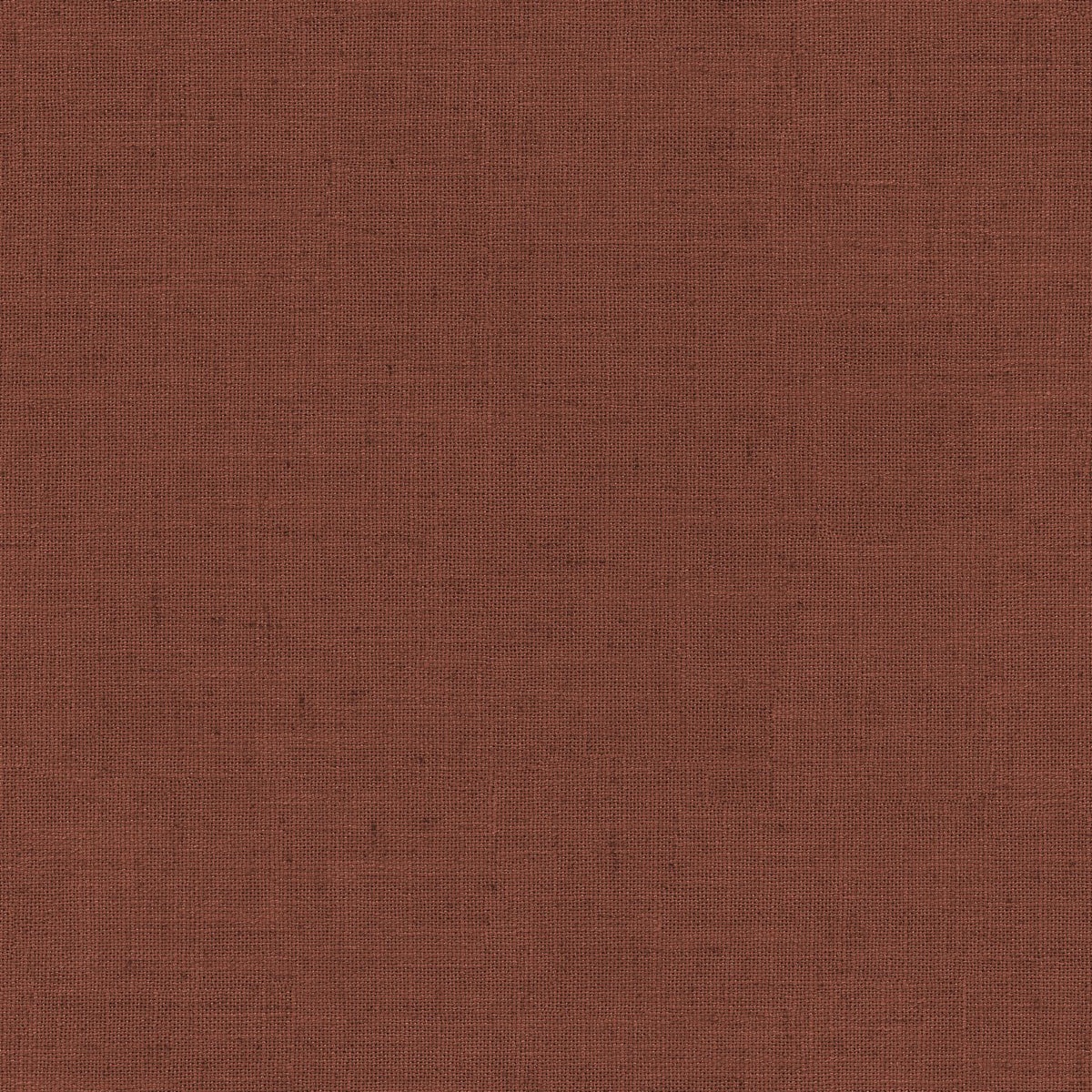 Terracotta | Grace