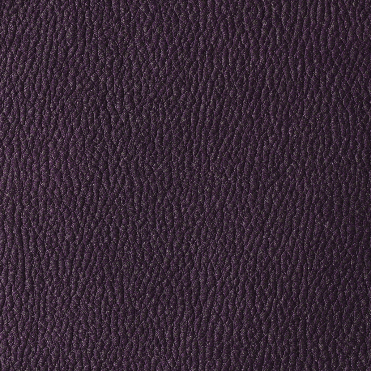 Purple | Habana