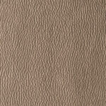 Taupe | Habana