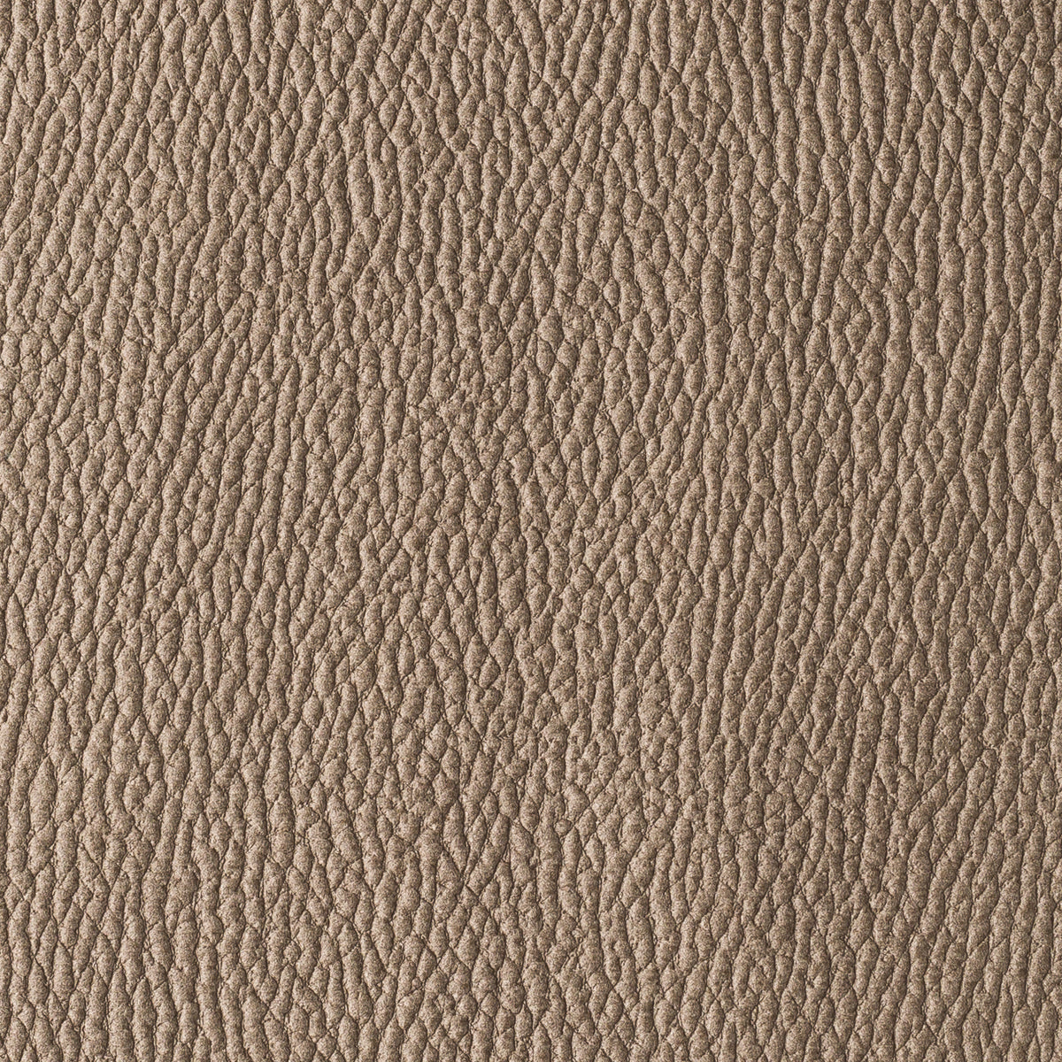 Taupe | Habana