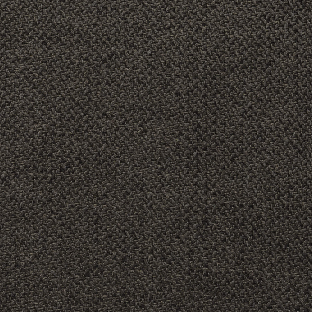 Ebony 06 | Heritage