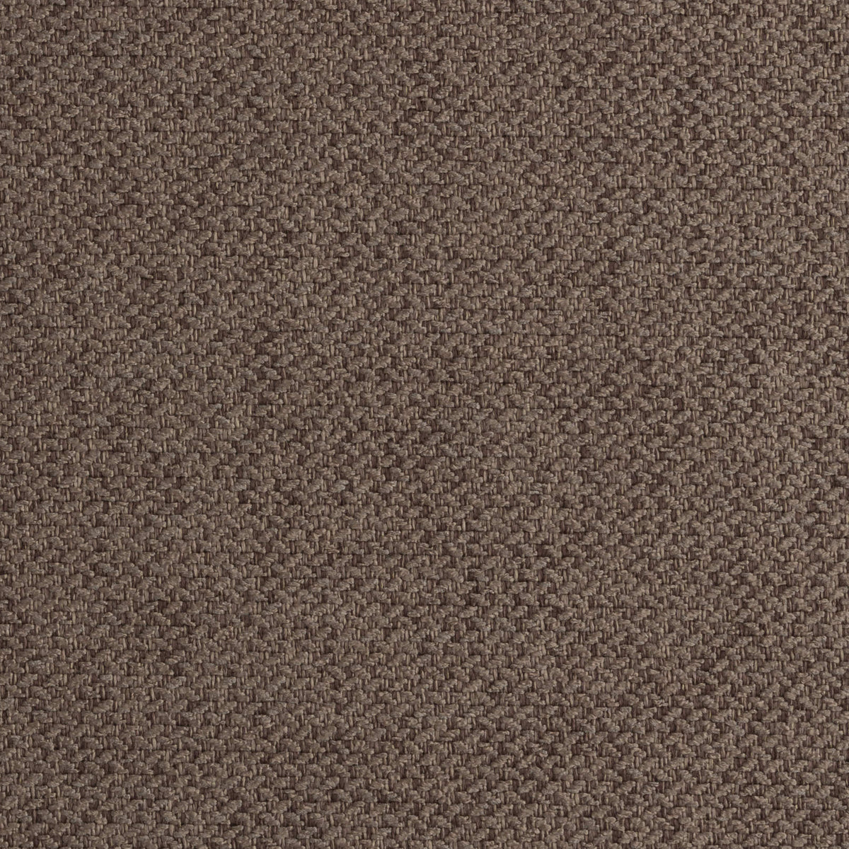 Truffle 04 | Heritage