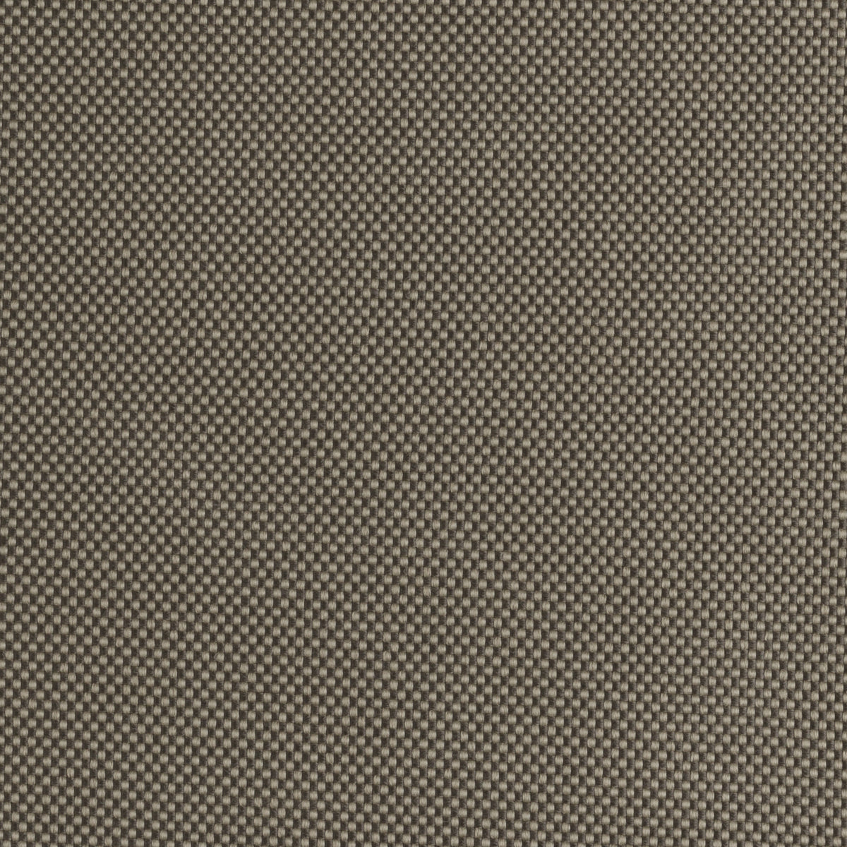 Taupe | Ibiza