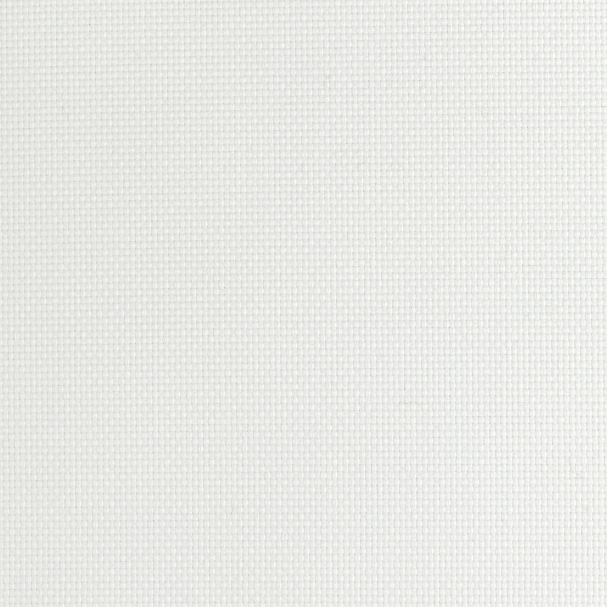 White | Ibiza