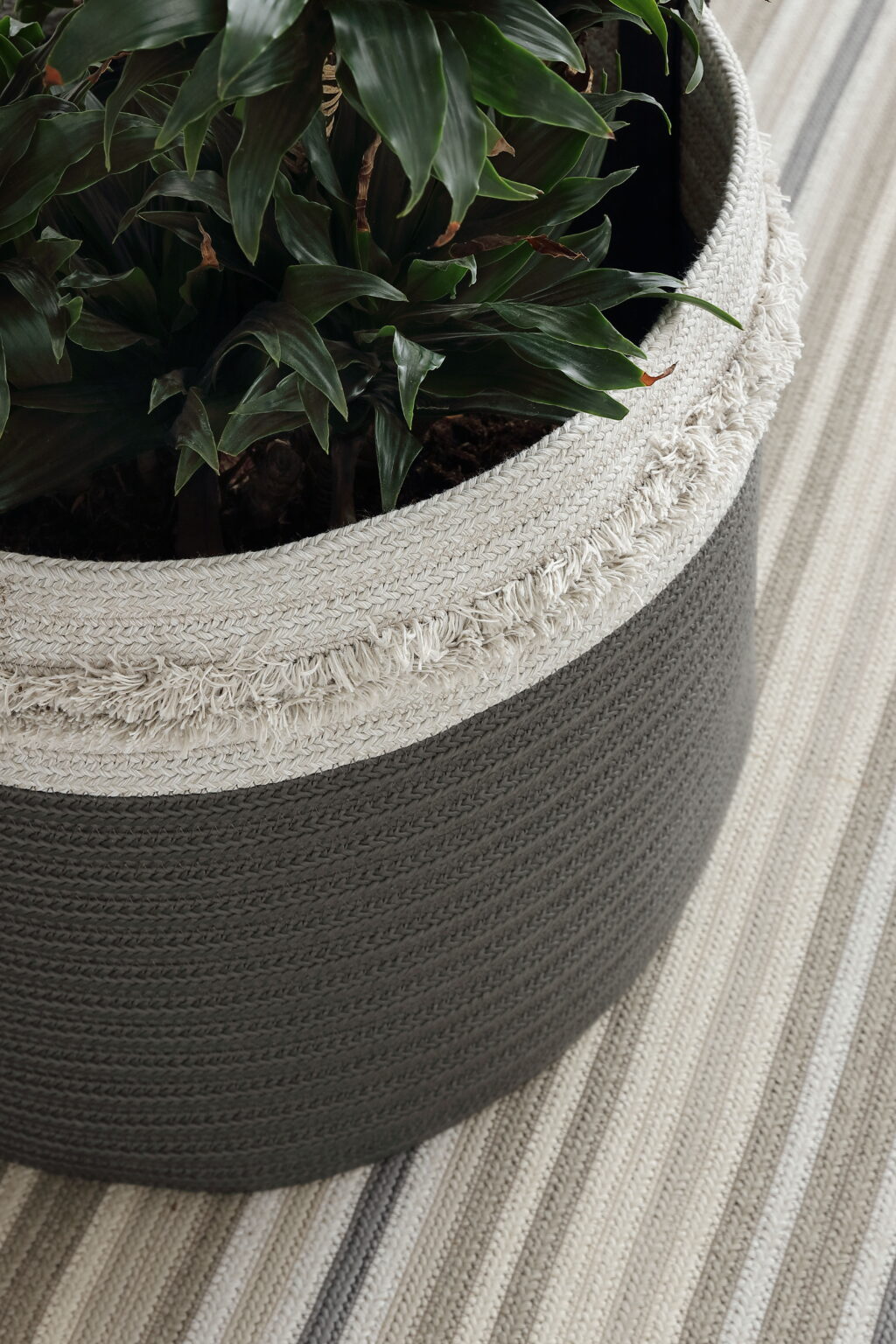 Basket Without Handles | Decorative Accents