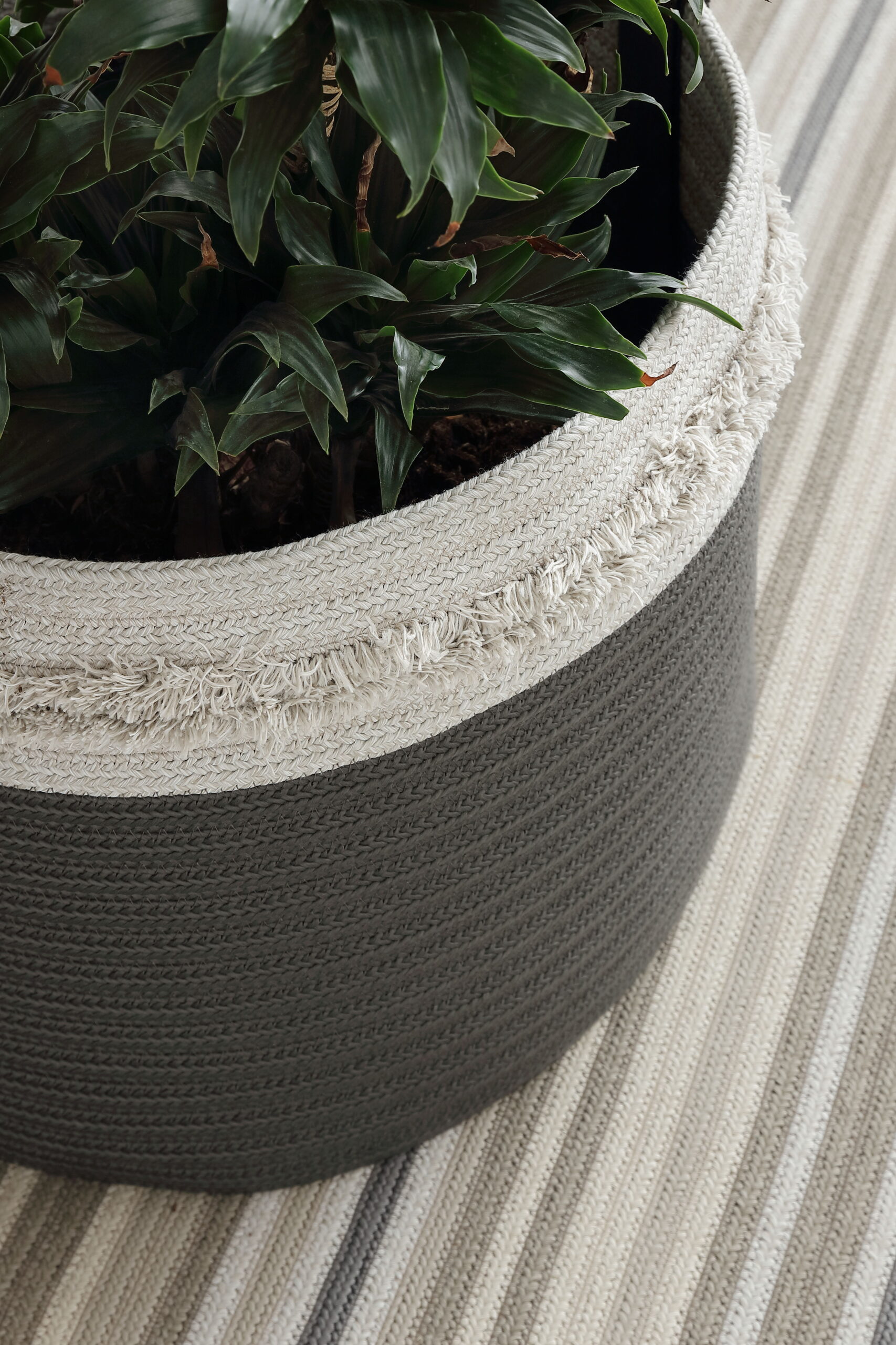 Basket Without Handles | Decorative Accents