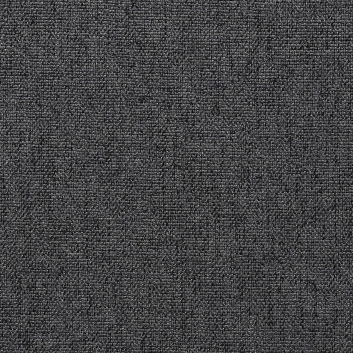 Anthracite 15 | Kenya