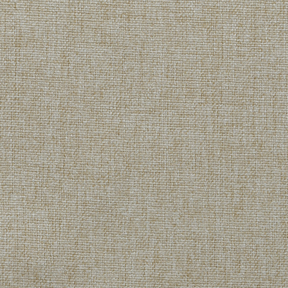 Beige 02 | Kenya