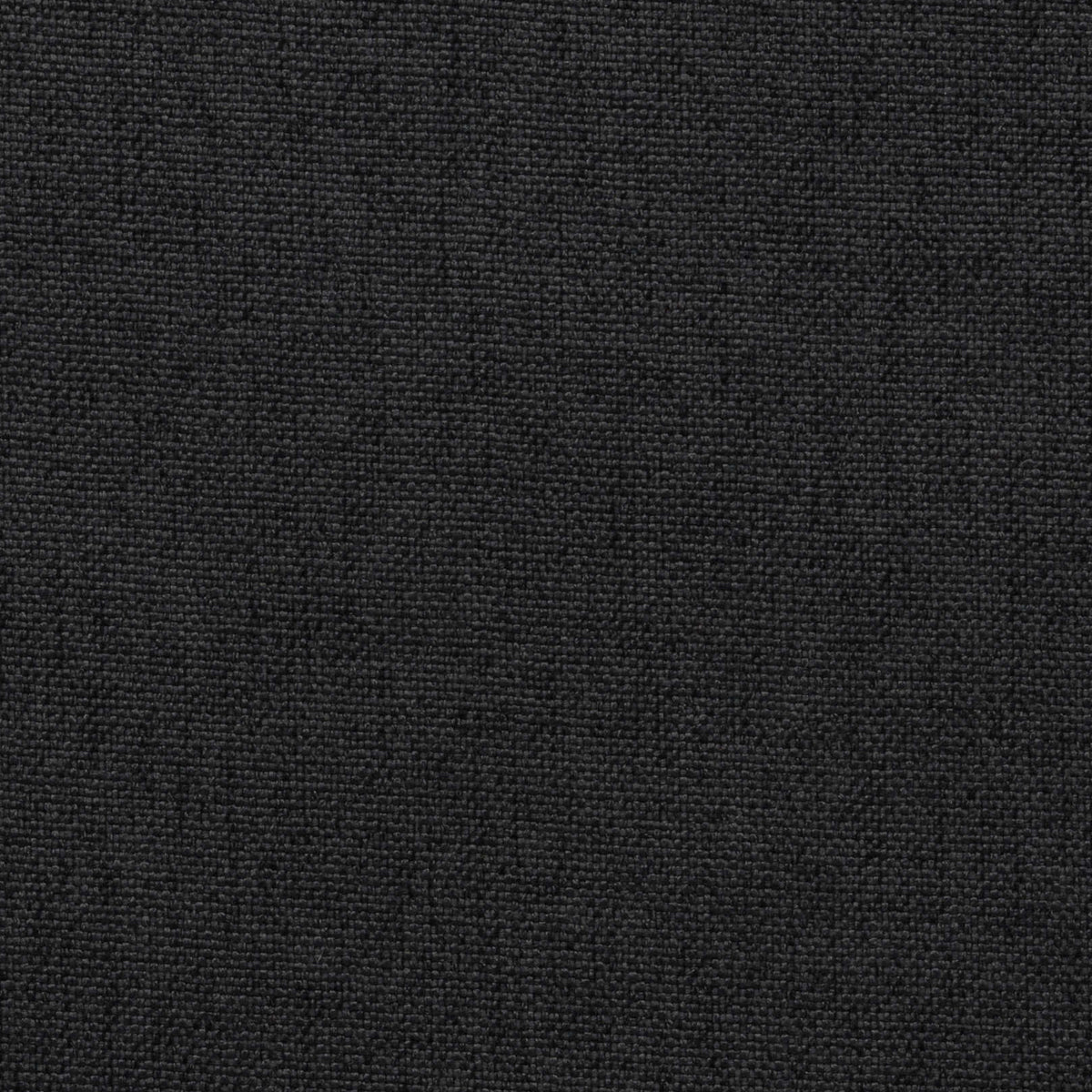 Black 16 | Kenya