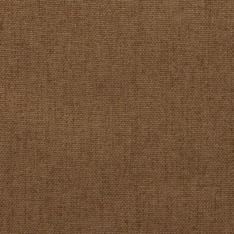 Camel 22
