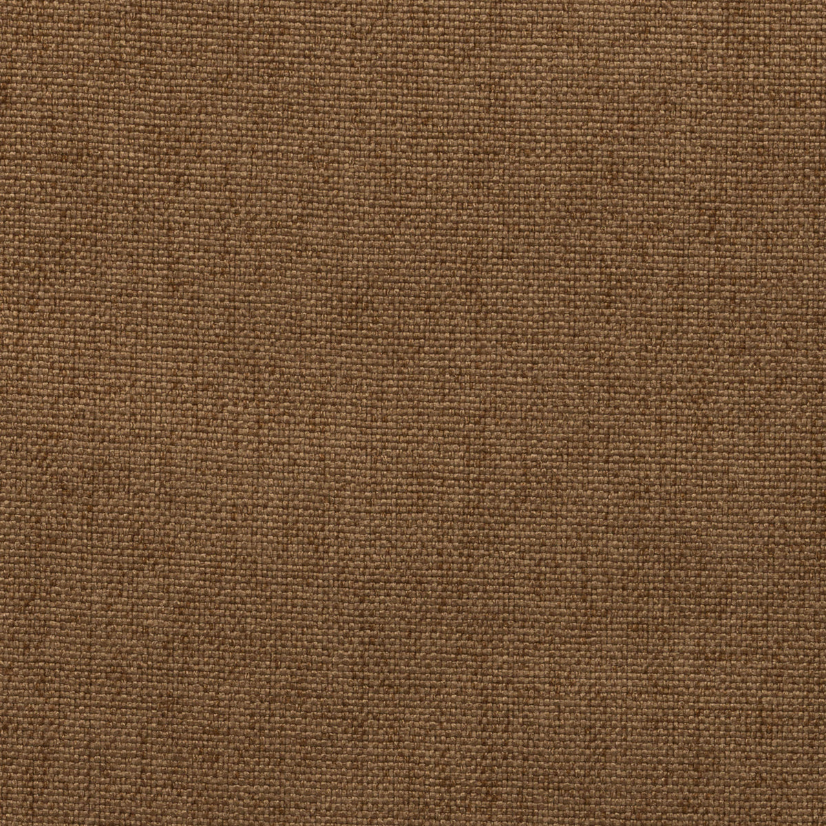 Camel 22 | Kenya