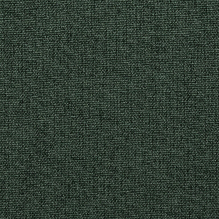 Forest 17