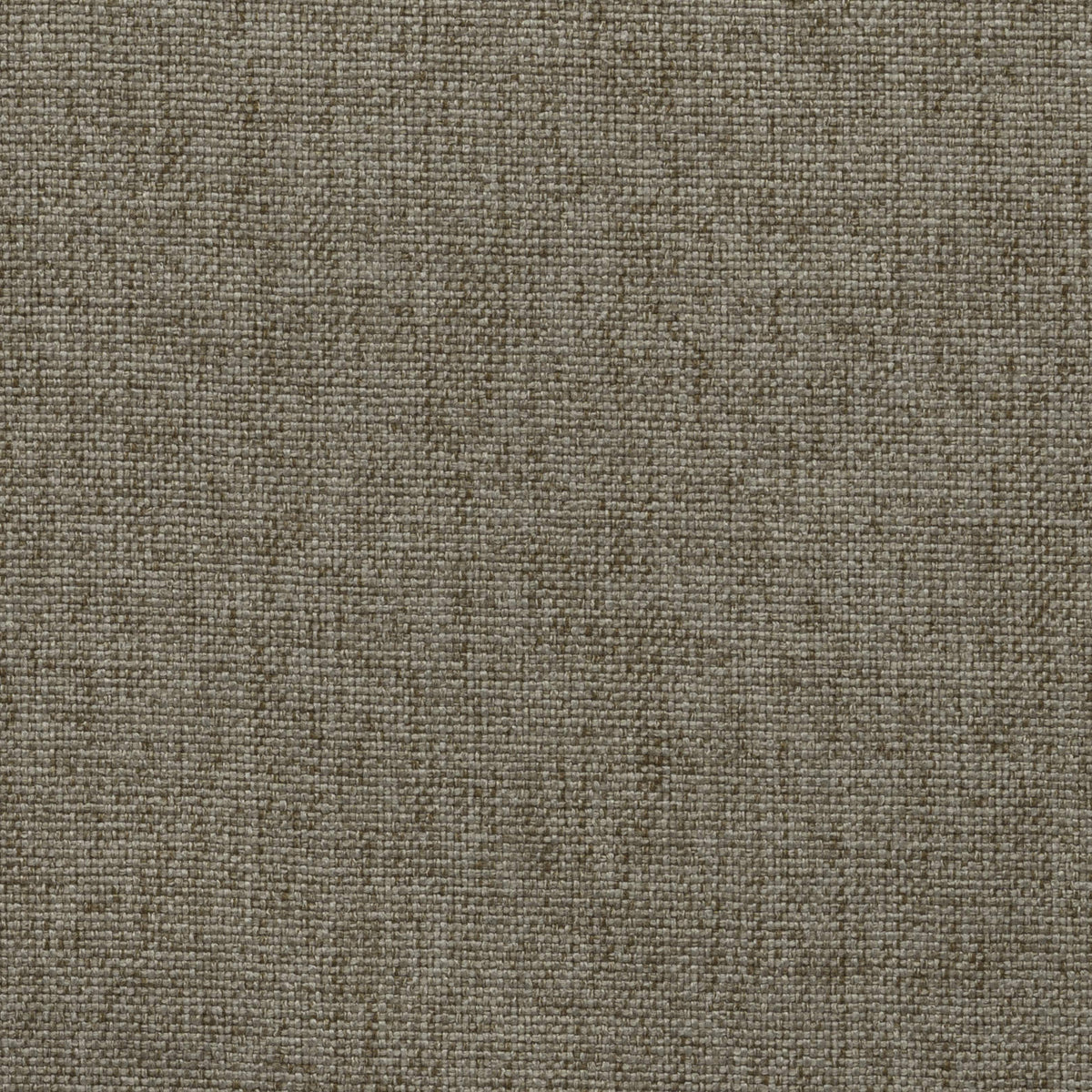 Khaki 03 | Kenya