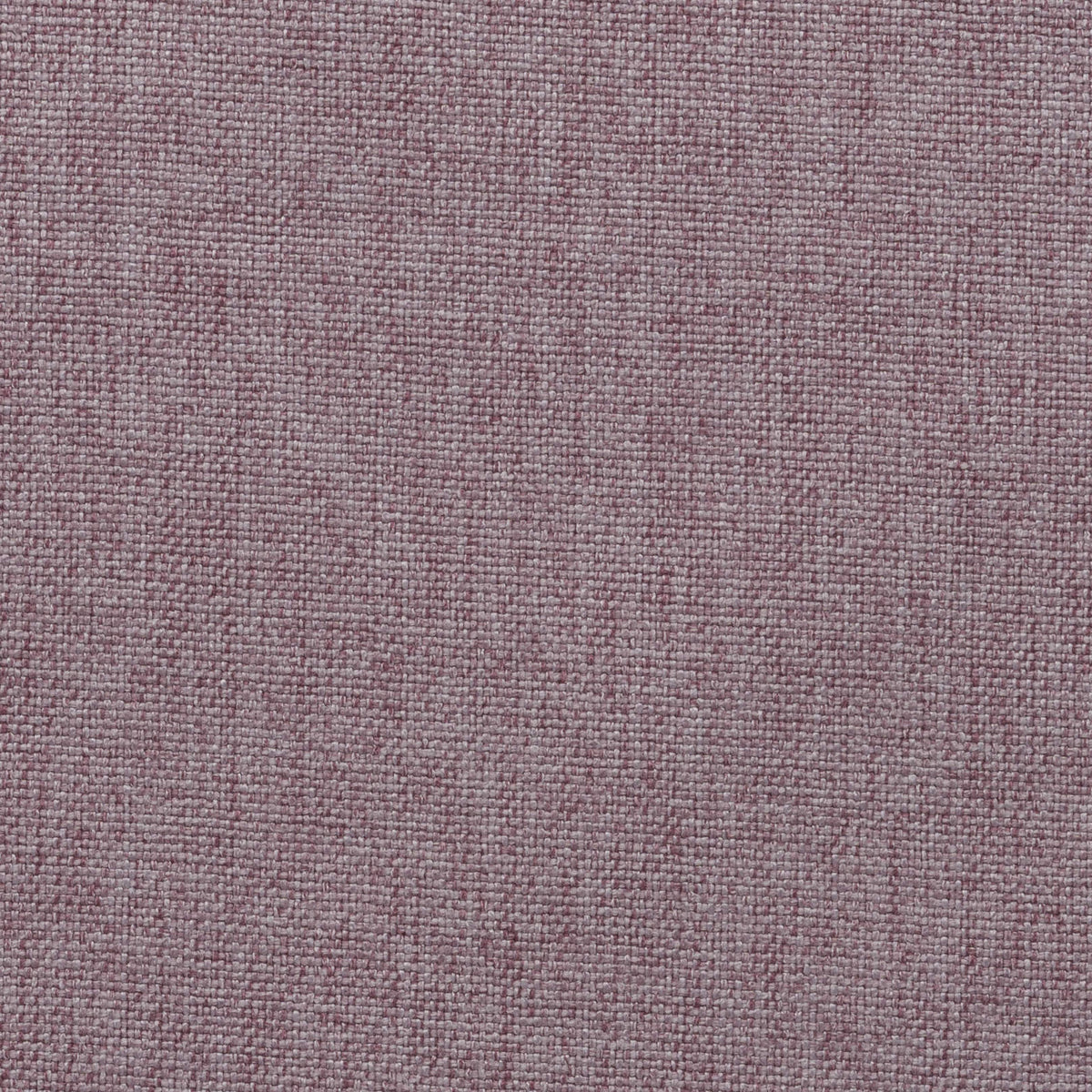 Pink 20 | Kenya