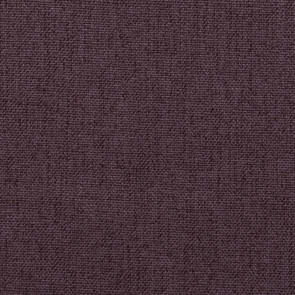 Purple 19 | Kenya