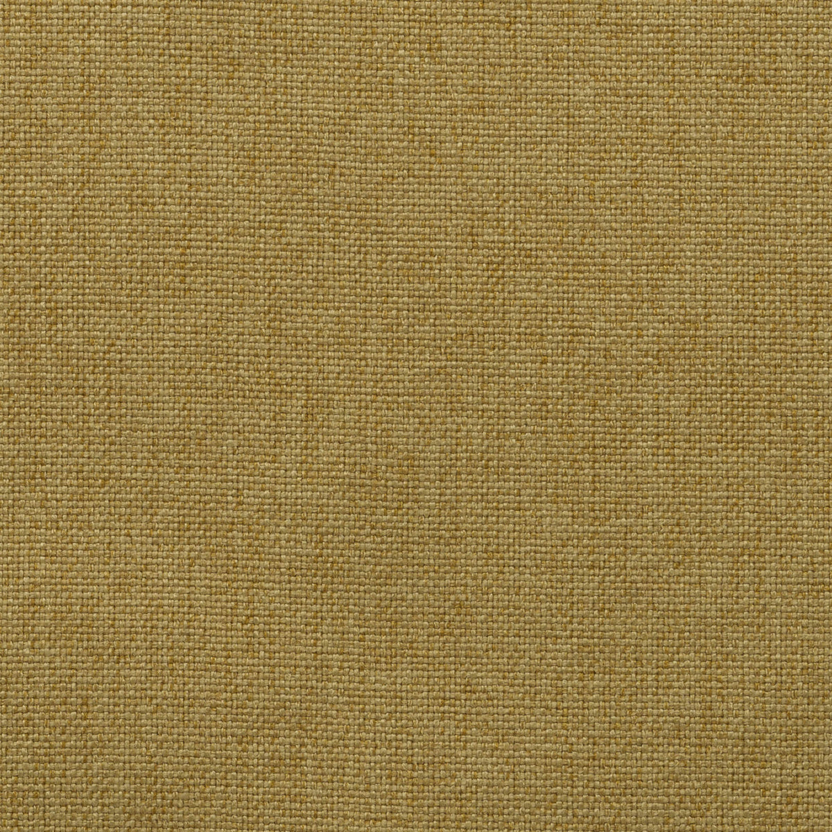 Yellow 07 | Kenya