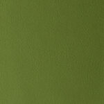 Agave | Laguna