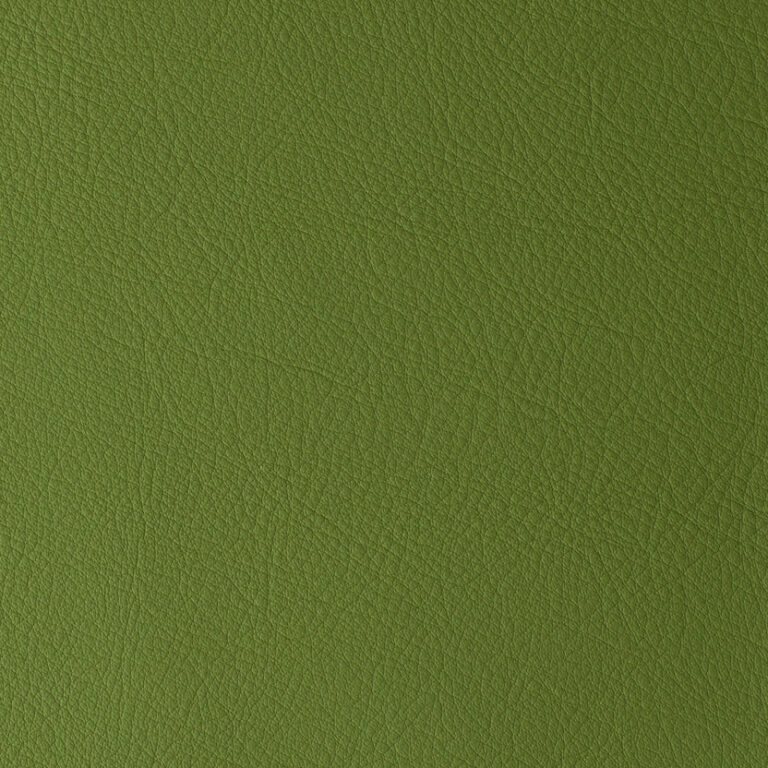 Agave