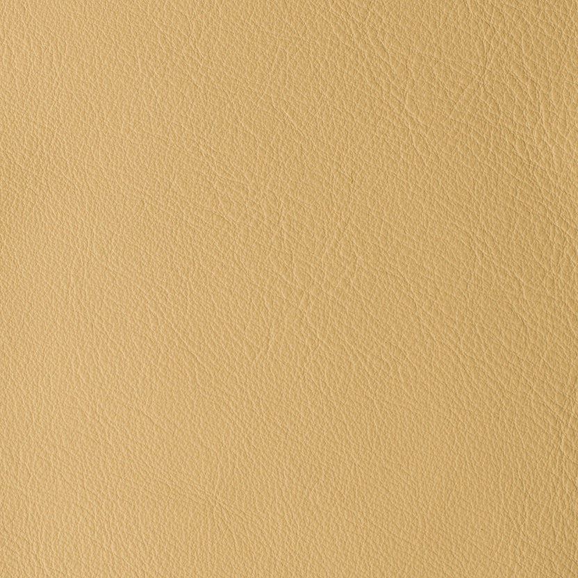Apricot | Laguna