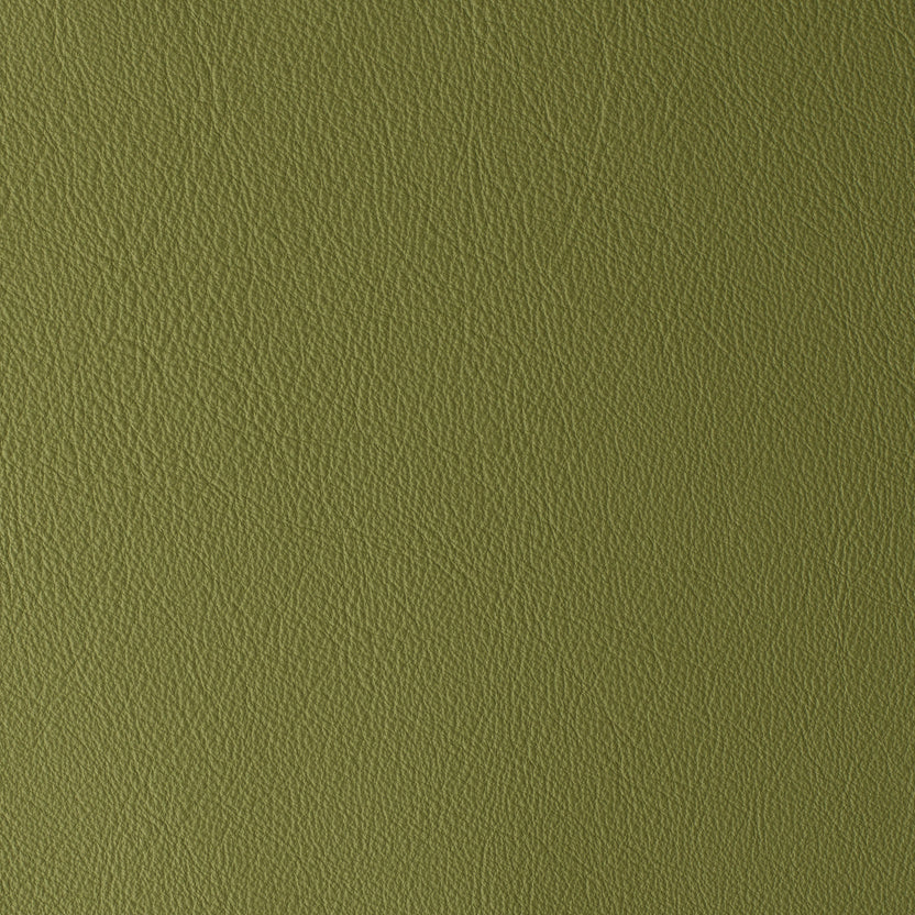 Bamboo | Laguna