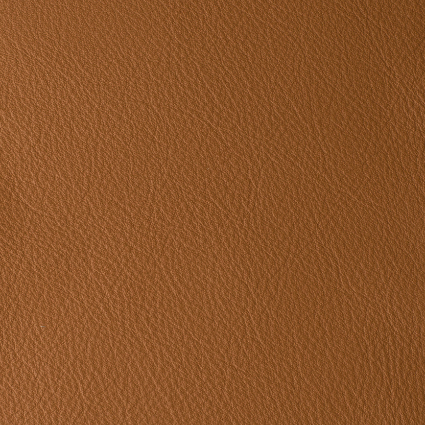 Brandy | Laguna