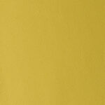 Canary | Laguna