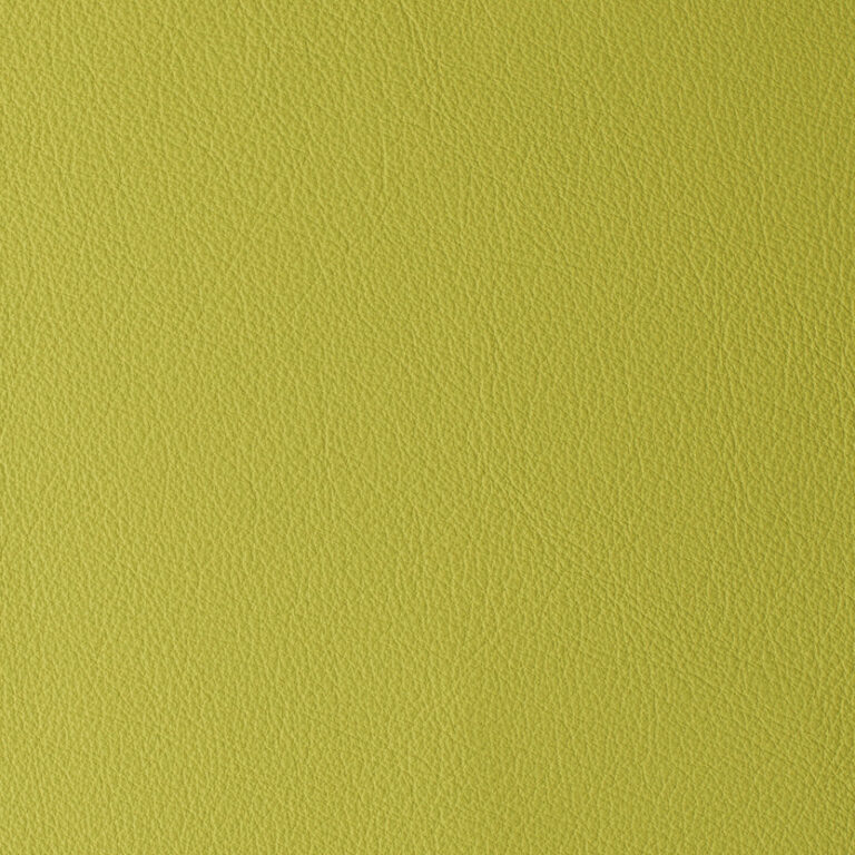 Celery